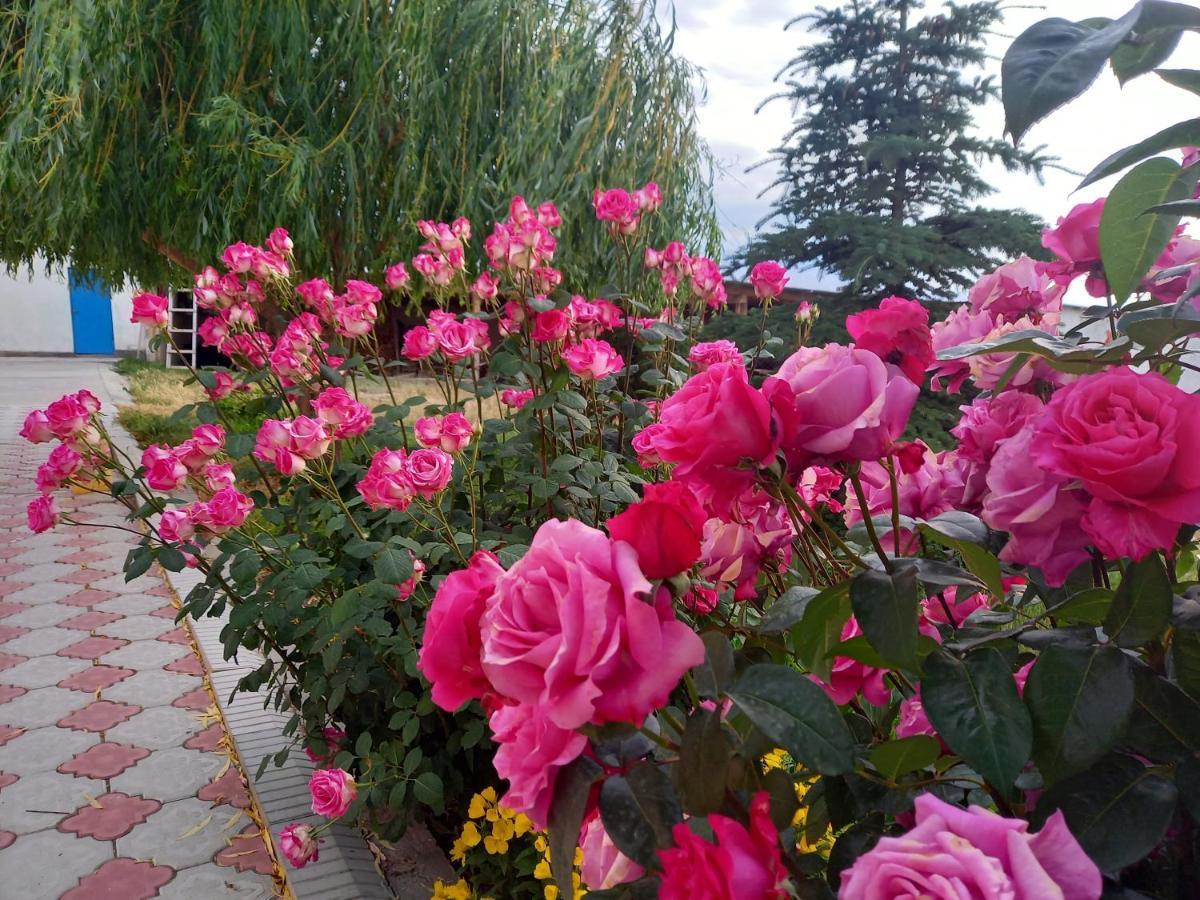 Guest House Shirin Barskoon Zewnętrze zdjęcie